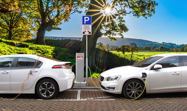 Branchés sur l’avenir : tout savoir sur les bornes de recharge pour voitures électriques