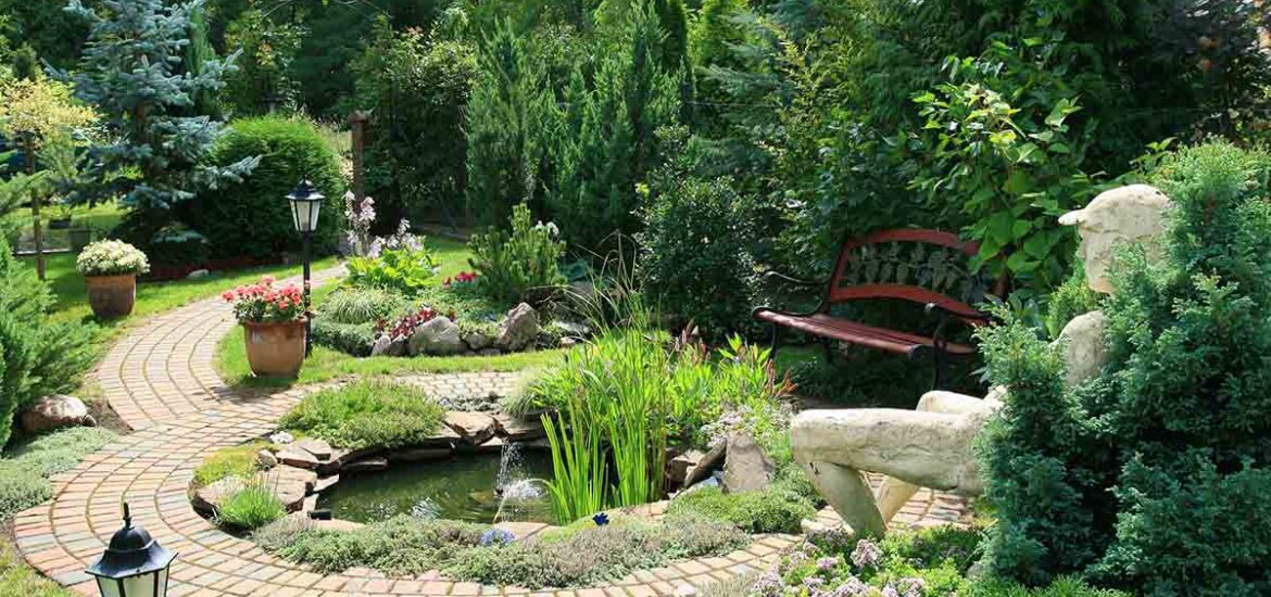 Comment choisir les meilleures plantes pour votre jardin