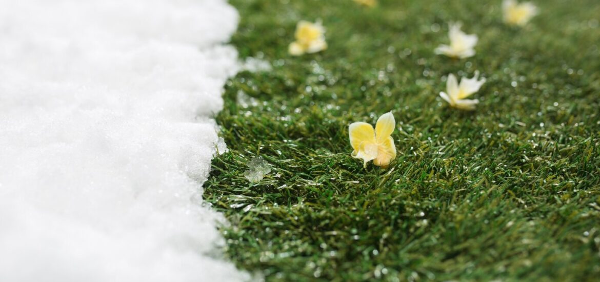 Entretien du gazon en hiver : comment préparer une pelouse en pleine forme pour le printemps ?