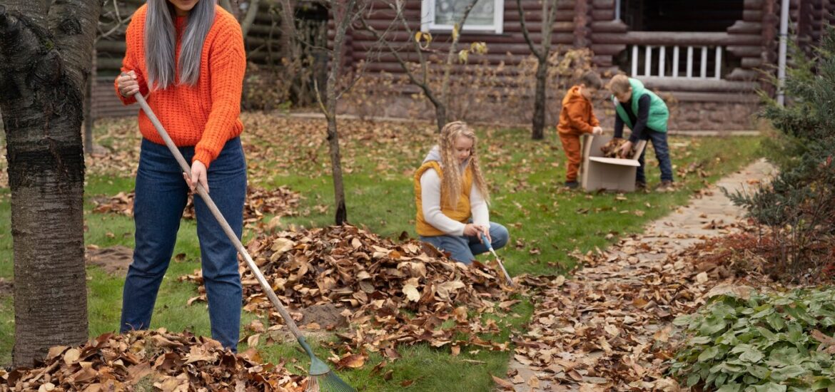 Préparer son jardin pour l'hiver : les étapes indispensables avant le gel